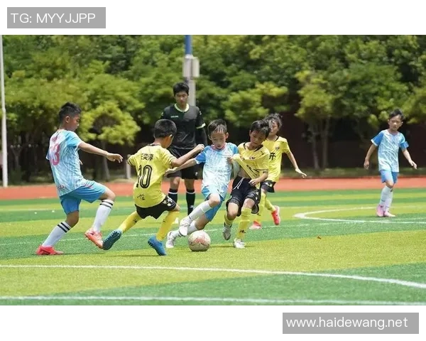 以诚实为荣的足球明星们如何在绿茵场上赢得尊重与信任